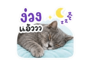 858431431
