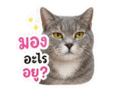 858431432