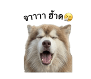 858431458