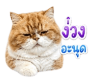 858431843