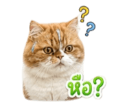 858431845