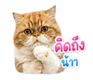 858431852