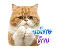 858431859