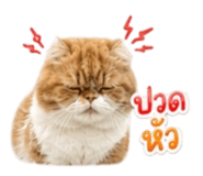 858431865