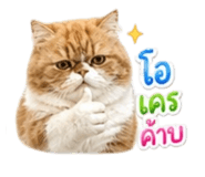 858431871