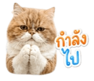 858431872
