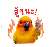 858432582