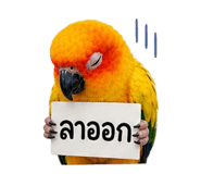 858432592