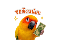 858432600