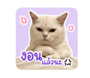 858432796