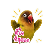 858433652