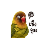 858433654