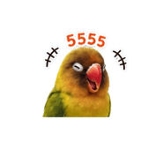 858433655