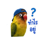 858433659