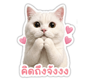 858433733