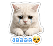 858433740