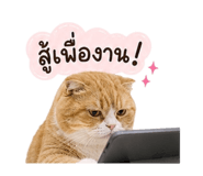858434385