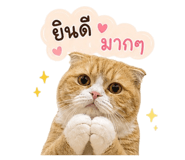 858434387