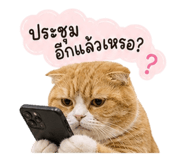 858434392