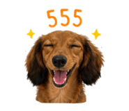 858434861