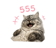 858435058