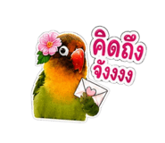 858435516