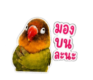 858435521