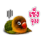 858435525