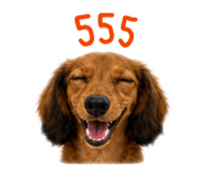 858436328