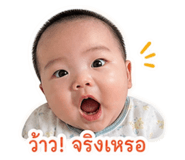 858438333