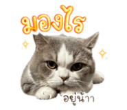 858438786