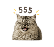 858438794