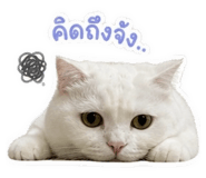 858439466