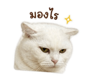 858439470