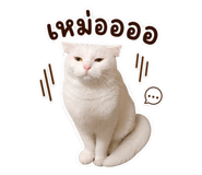 858439475