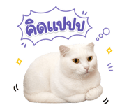 858439478