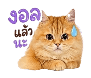 858440673