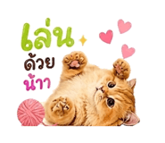858440680