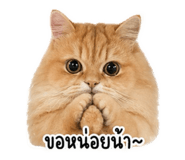 858440687