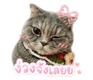 858442066