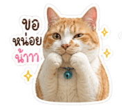 858442935