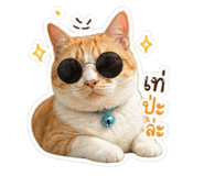 858442937