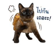 858442977