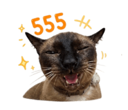 858442984