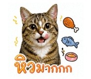 858443093
