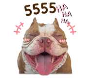 858443330