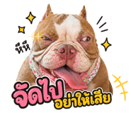 858443363