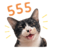 858443538