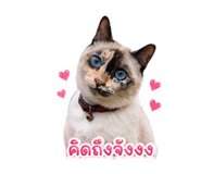 858444051