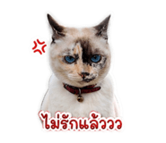 858444059